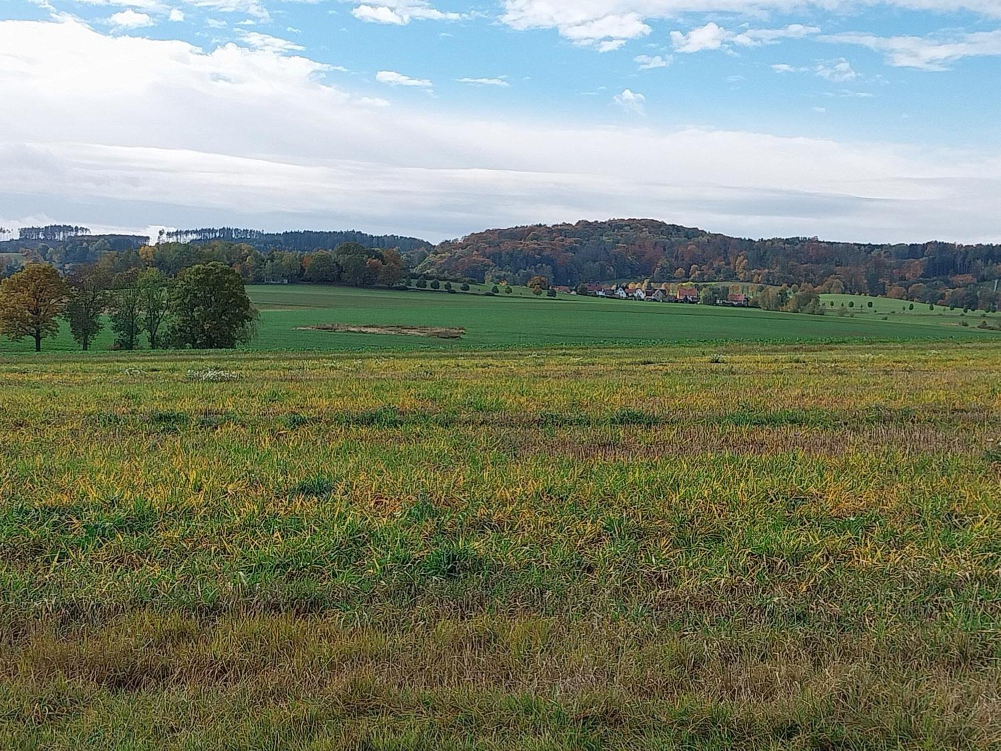 Landhotel Waldschloesschen Mit Gaststube Sohland an der Spree Dış mekan fotoğraf