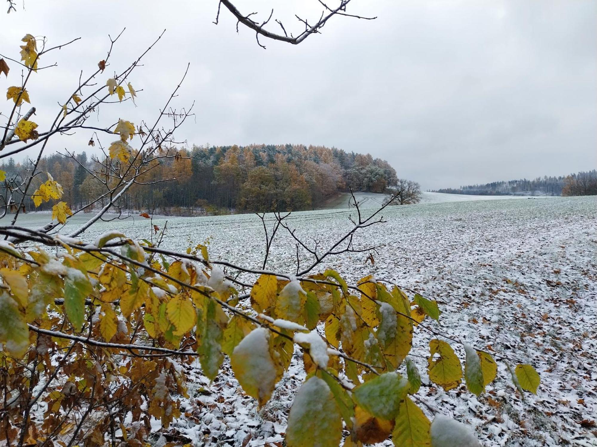 Landhotel Waldschloesschen Mit Gaststube Sohland an der Spree Dış mekan fotoğraf