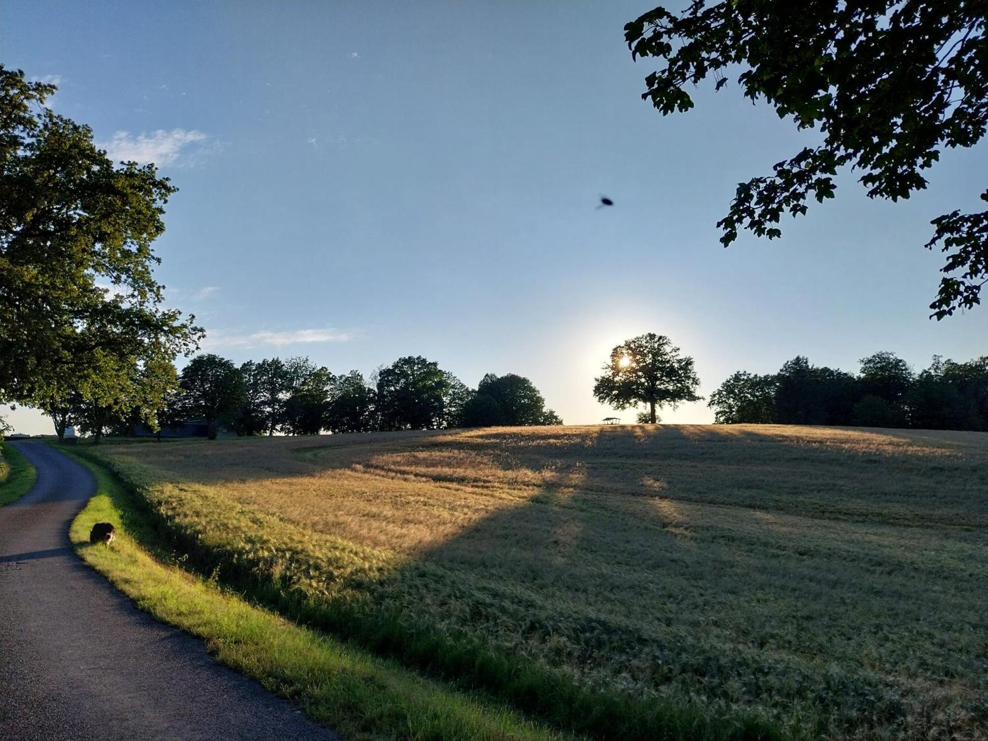 Landhotel Waldschloesschen Mit Gaststube Sohland an der Spree Dış mekan fotoğraf
